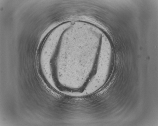 X0000071861517200607290144