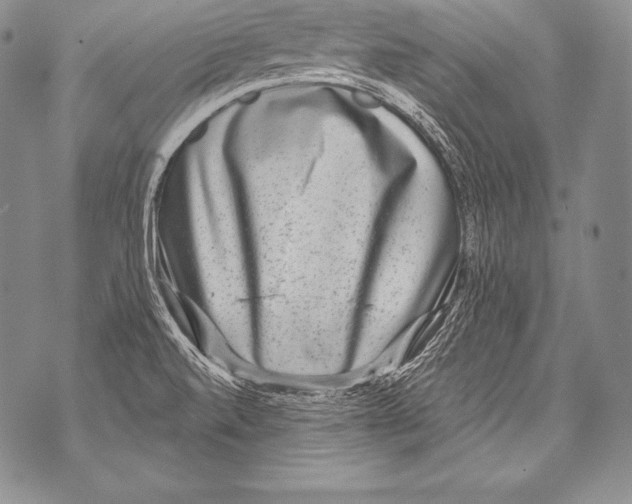 X0000071861520200607290144