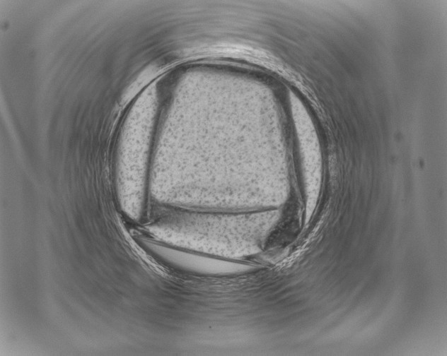 X0000071861521200607290144