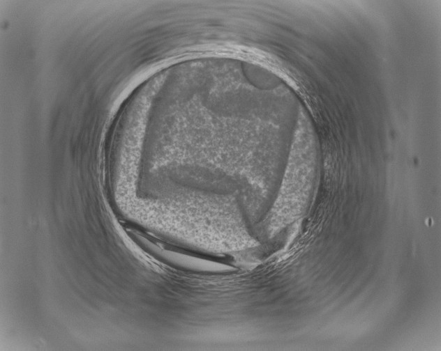 X0000071861523200607290144