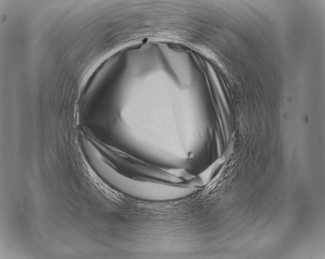 X0000071861524200607290144