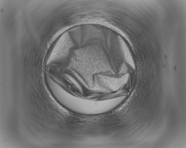 X0000071861525200607290144