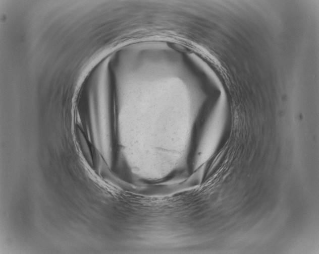 X0000071861528200607290145