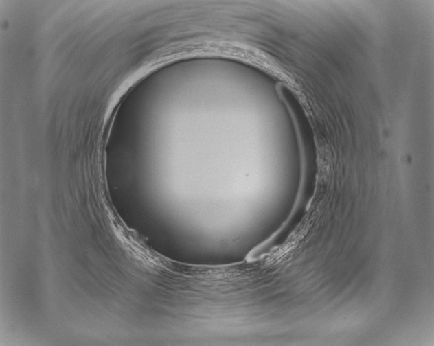 X0000071861530200607290145