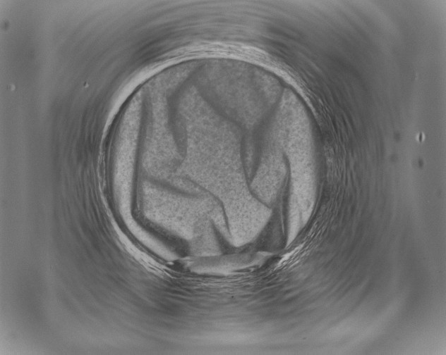 X0000071861531200607290145