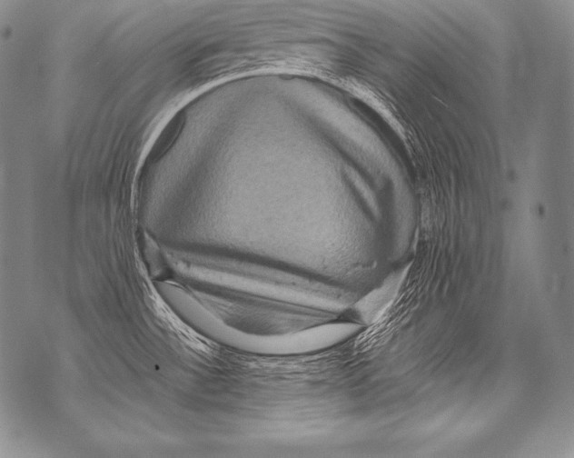 X0000071861532200607290145