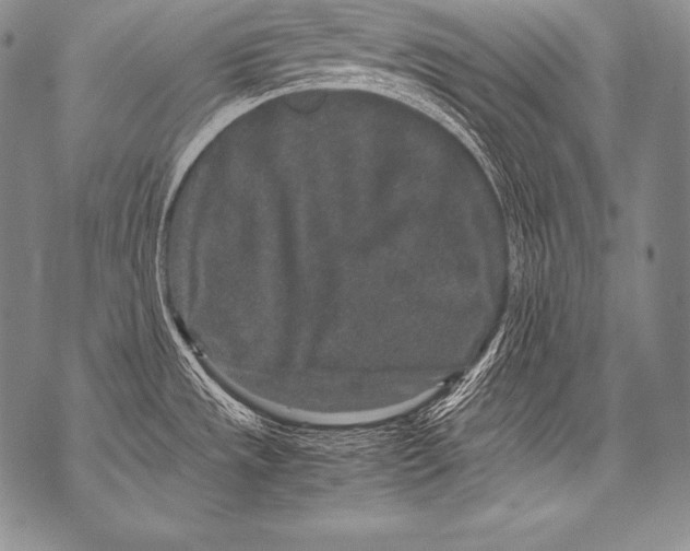 X0000071861533200607290145