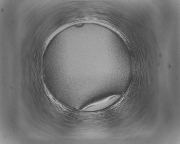 X0000071861534200607290145