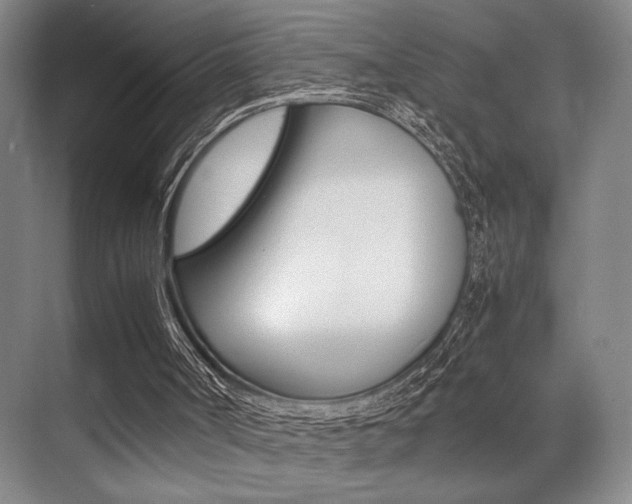 X0000071900002200607070931