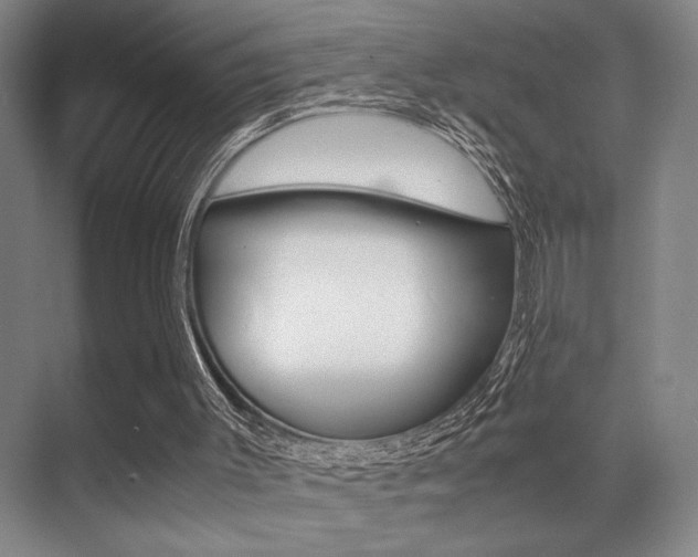 X0000071900003200607070931