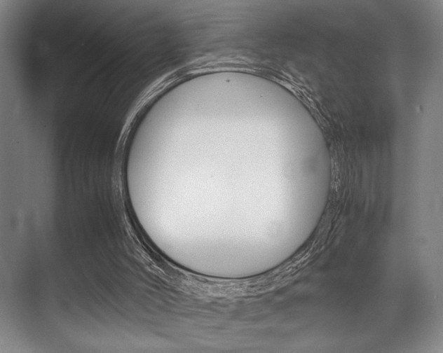 X0000071900004200607070931