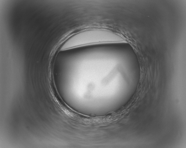 X0000071900005200607070931