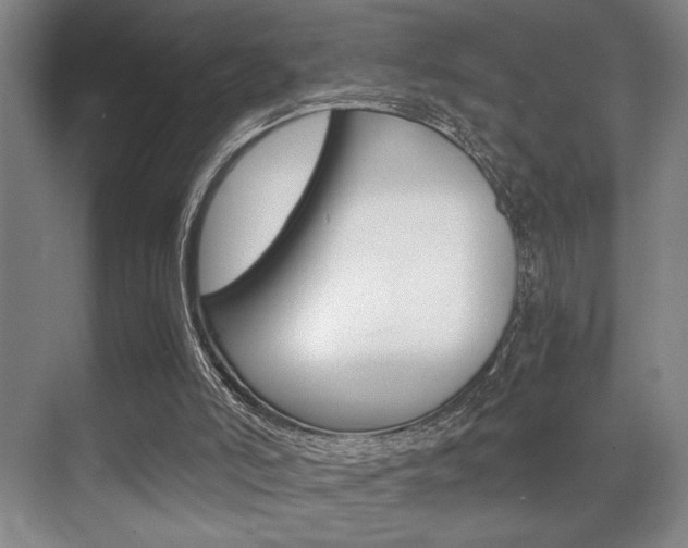 X0000071900006200607070931