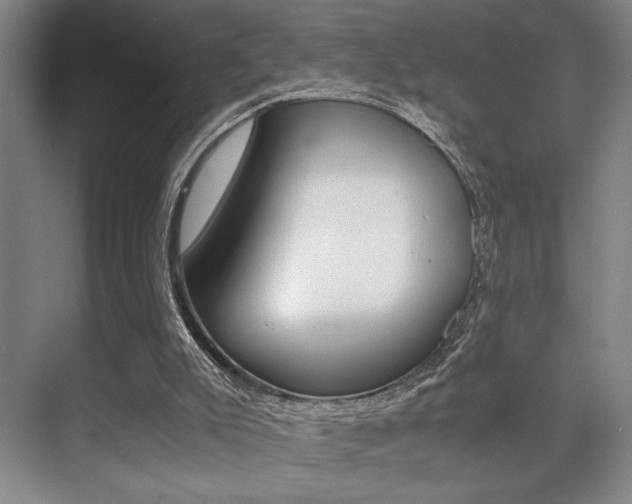 X0000071900007200607070931
