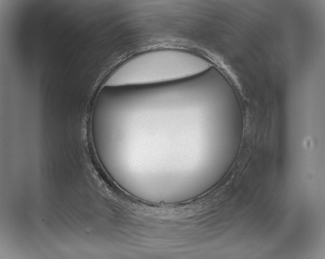 X0000071900010200607070931