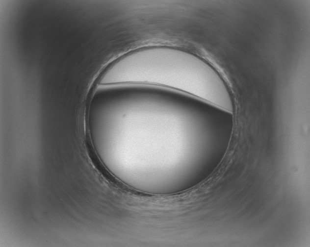 X0000071900011200607070931