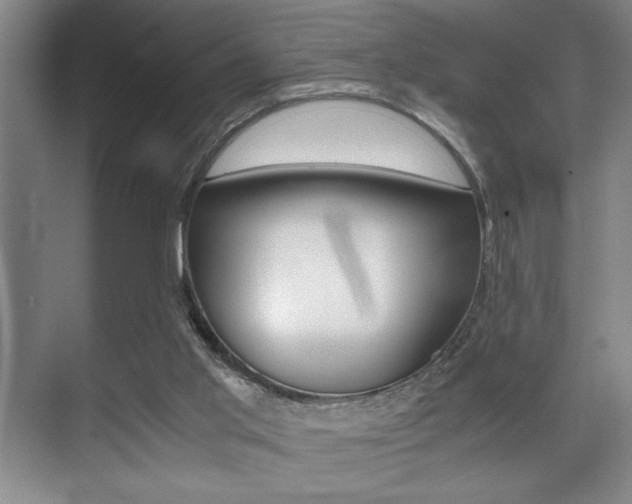 X0000071900013200607070931