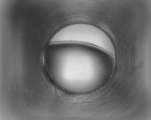 X0000071900021200607070931