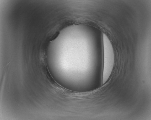 X0000071900033200607070931
