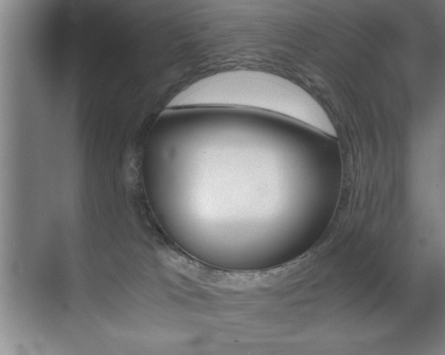 X0000071900037200607070931