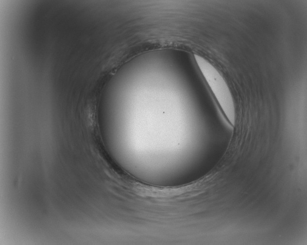 X0000071900039200607070931