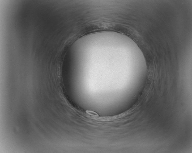 X0000071900043200607070930