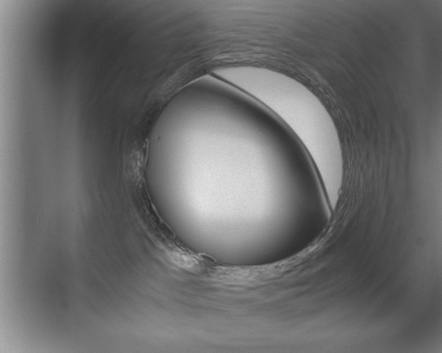 X0000071900045200607070930