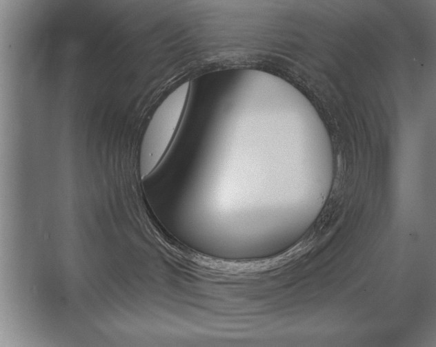 X0000071900048200607070930