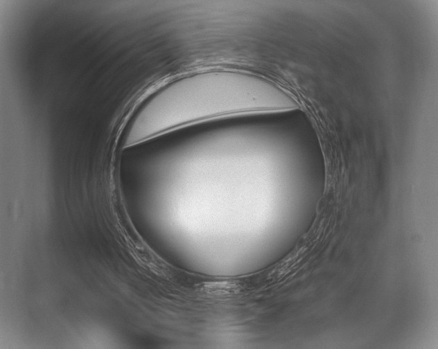 X0000071900050200607070930