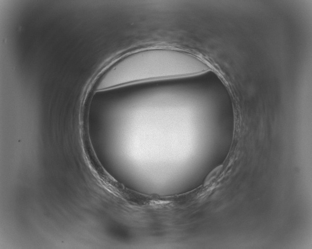 X0000071900055200607070930