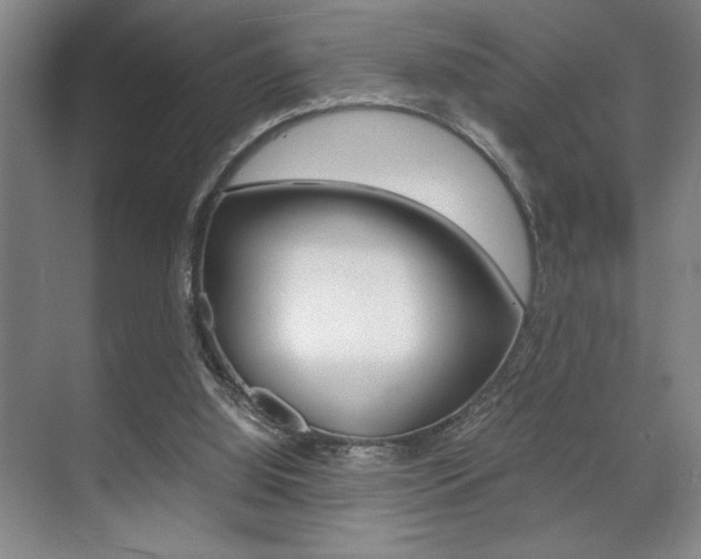 X0000071900060200607070930