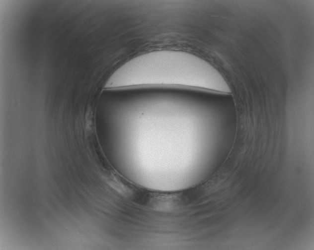 X0000071900081200607070930