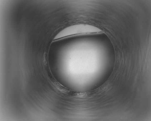 X0000071900088200607070930