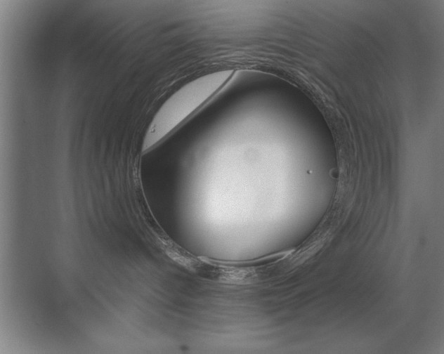 X0000071900096200607070930