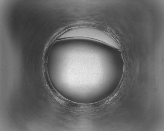 X0000071900101200607070930