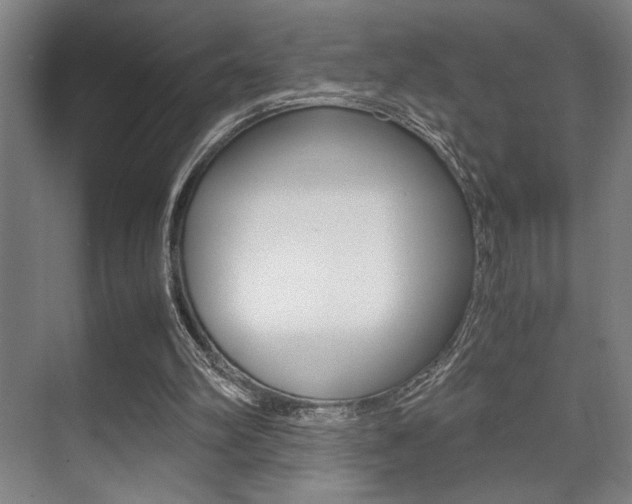 X0000071900102200607070929