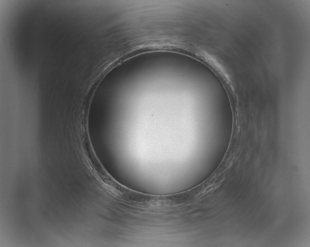 X0000071900105200607070929