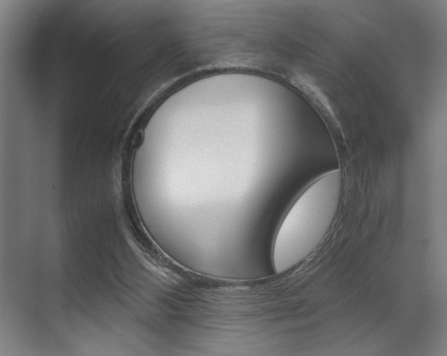X0000071900108200607070929