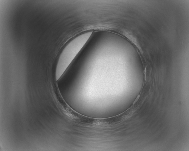 X0000071900109200607070929