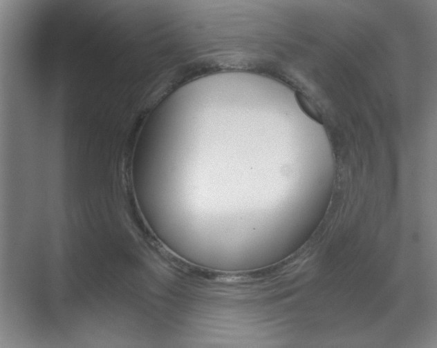 X0000071900117200607070929