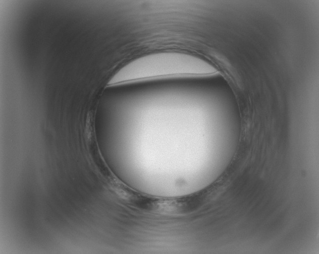 X0000071900121200607070929