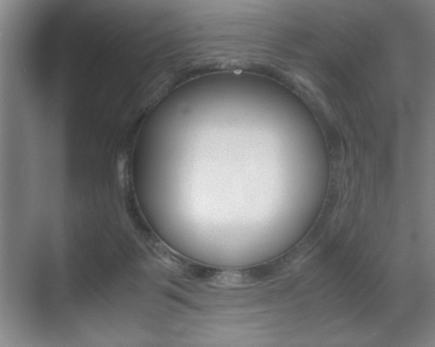X0000071900123200607070929