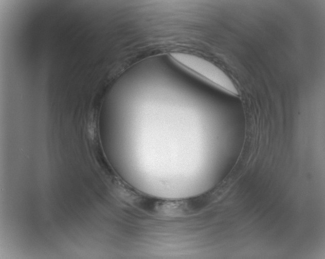 X0000071900129200607070929