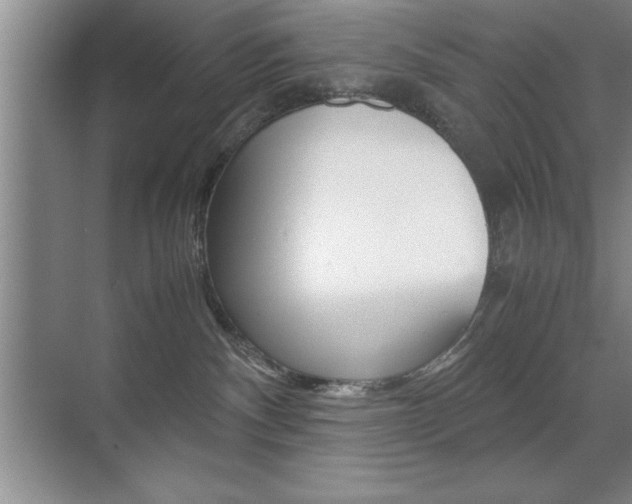 X0000071900140200607070929