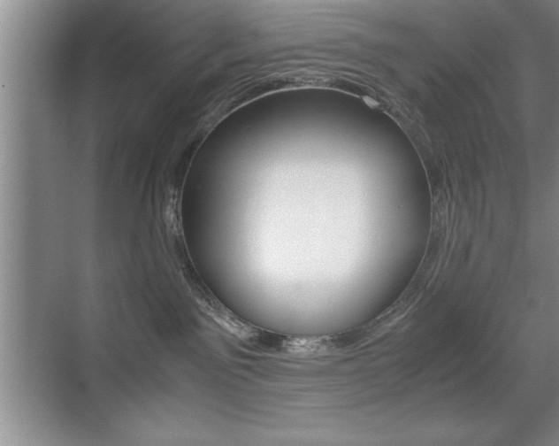 X0000071900141200607070929