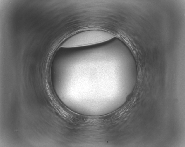 X0000071900145200607070928