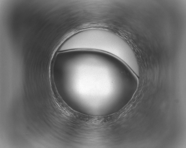 X0000071900148200607070928