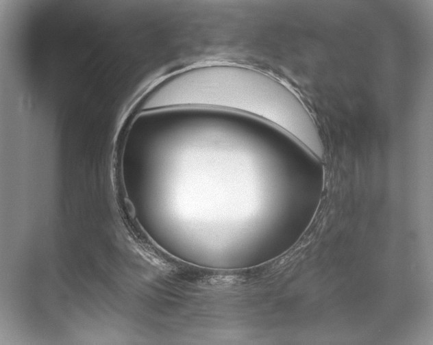 X0000071900152200607070928