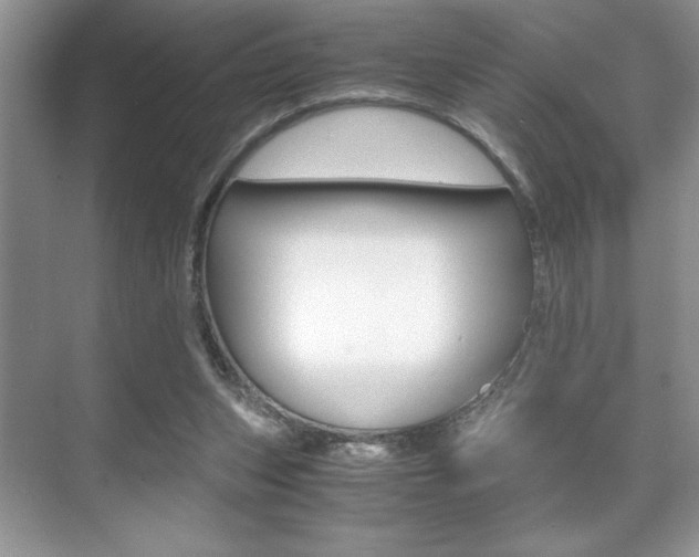 X0000071900159200607070928