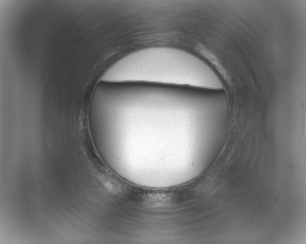 X0000071900161200607070928